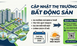 Toàn cảnh thị trường bất động sản đầu tháng 3/2026